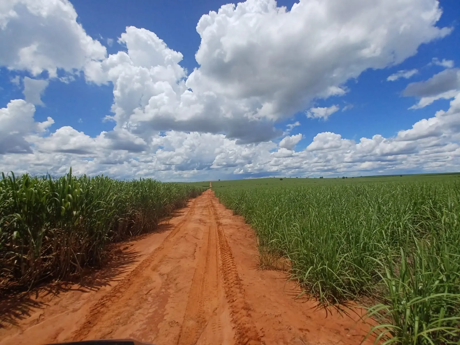 Fazenda à venda de 663 ha em Pacaembu, SP, Brasil