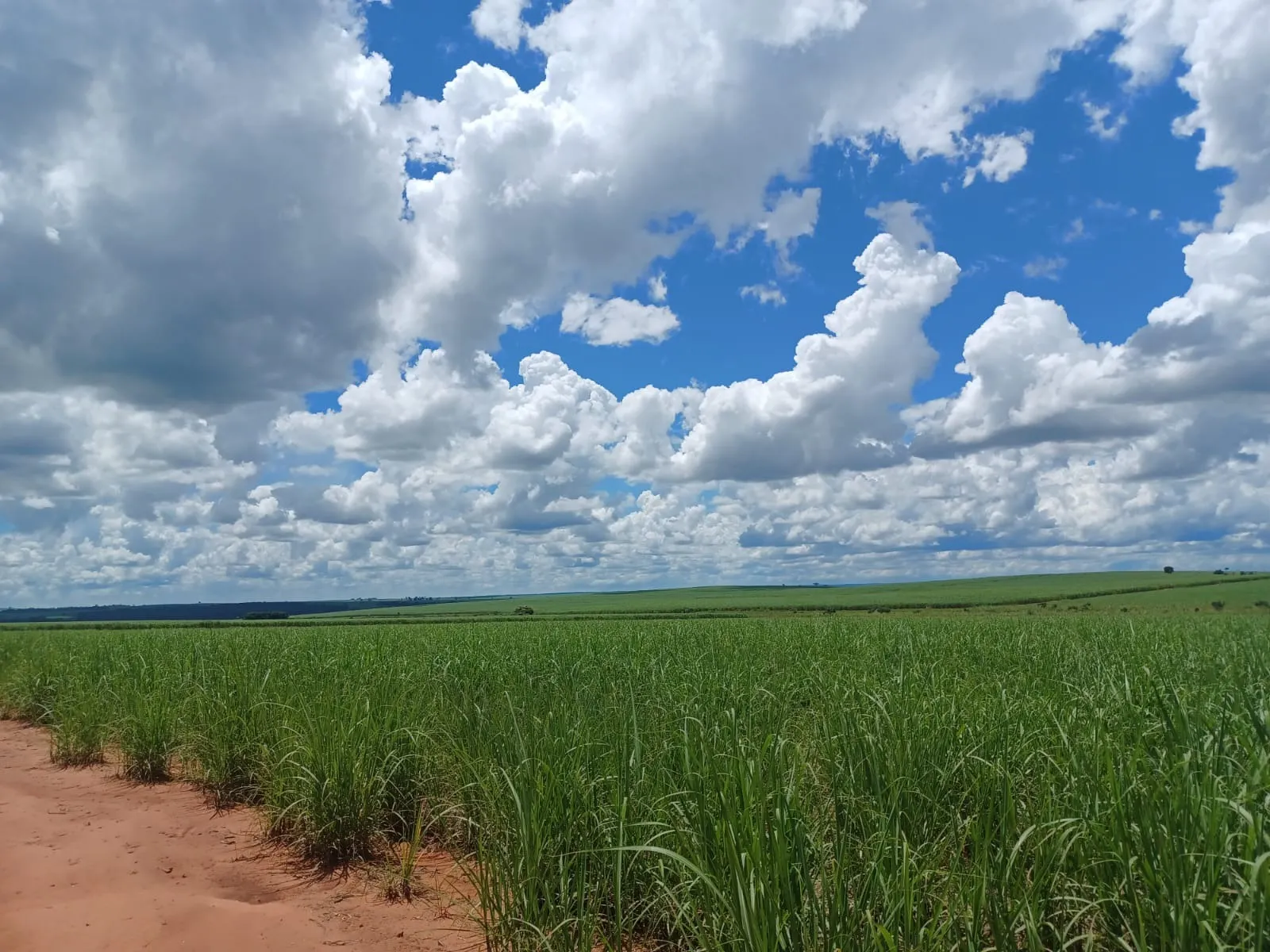 Fazenda à venda de 663 ha em Pacaembu, SP, Brasil