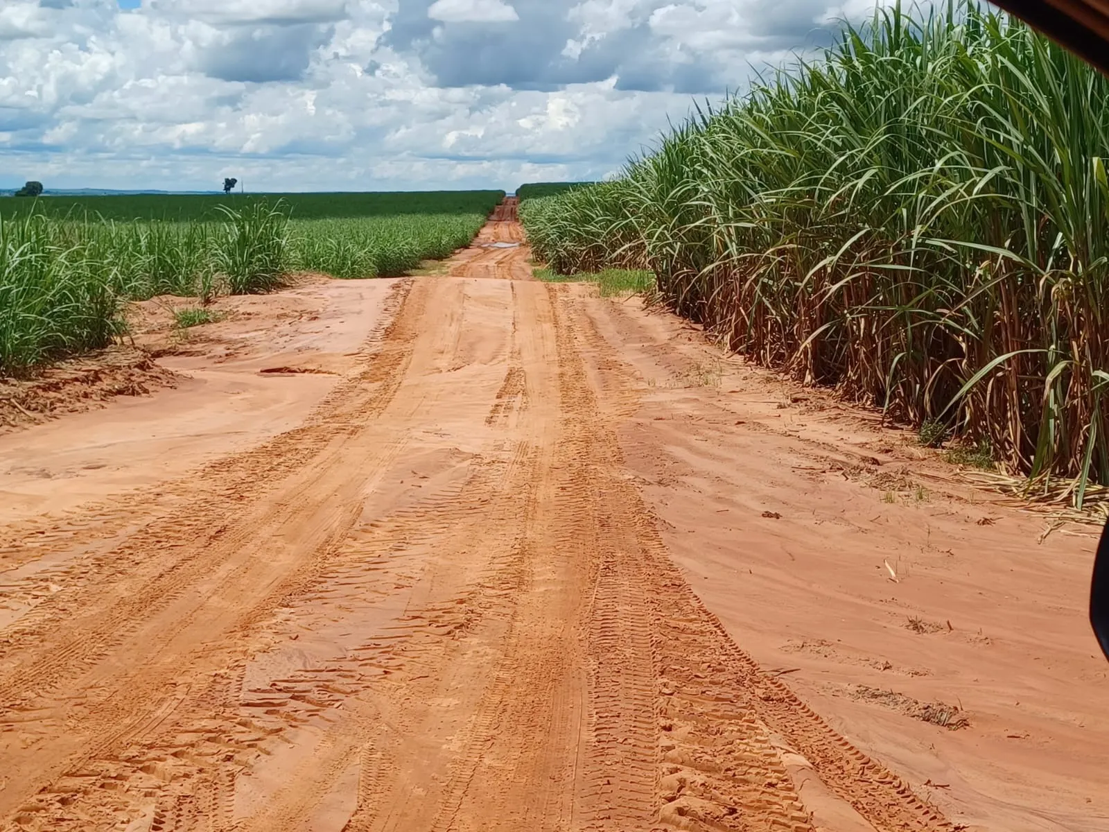 Fazenda à venda de 663 ha em Pacaembu, SP, Brasil