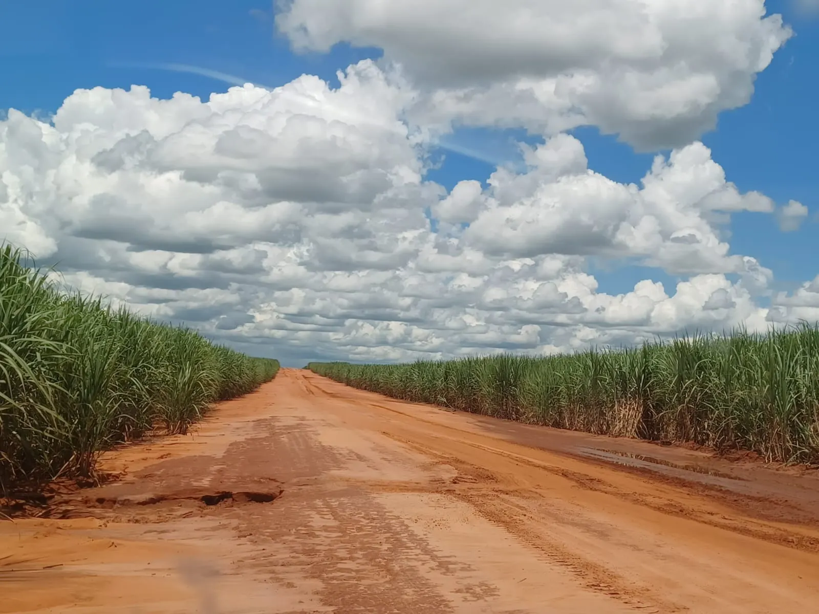 Fazenda à venda de 663 ha em Pacaembu, SP, Brasil