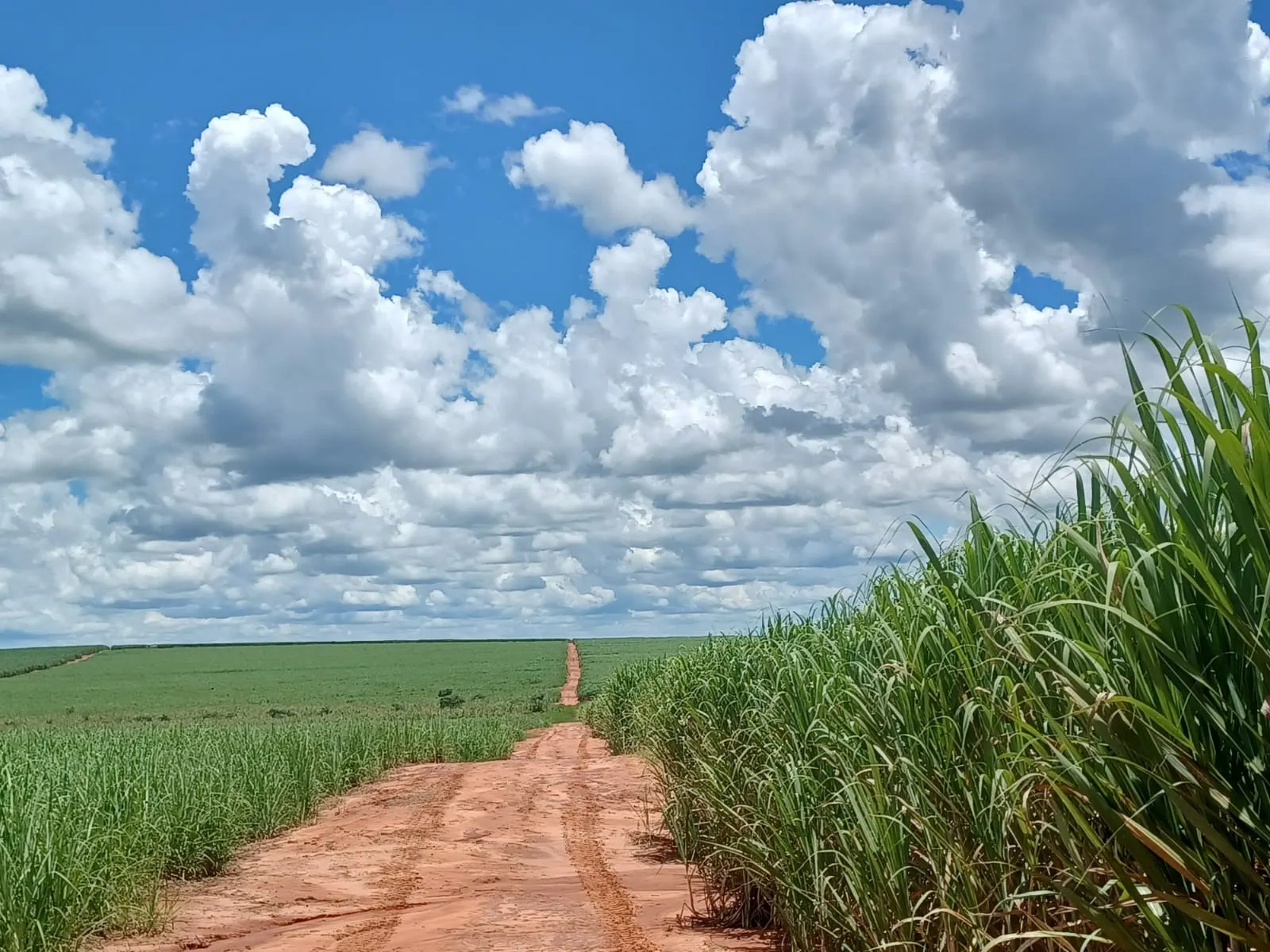 Fazenda à venda de 663 ha em Pacaembu, SP, Brasil