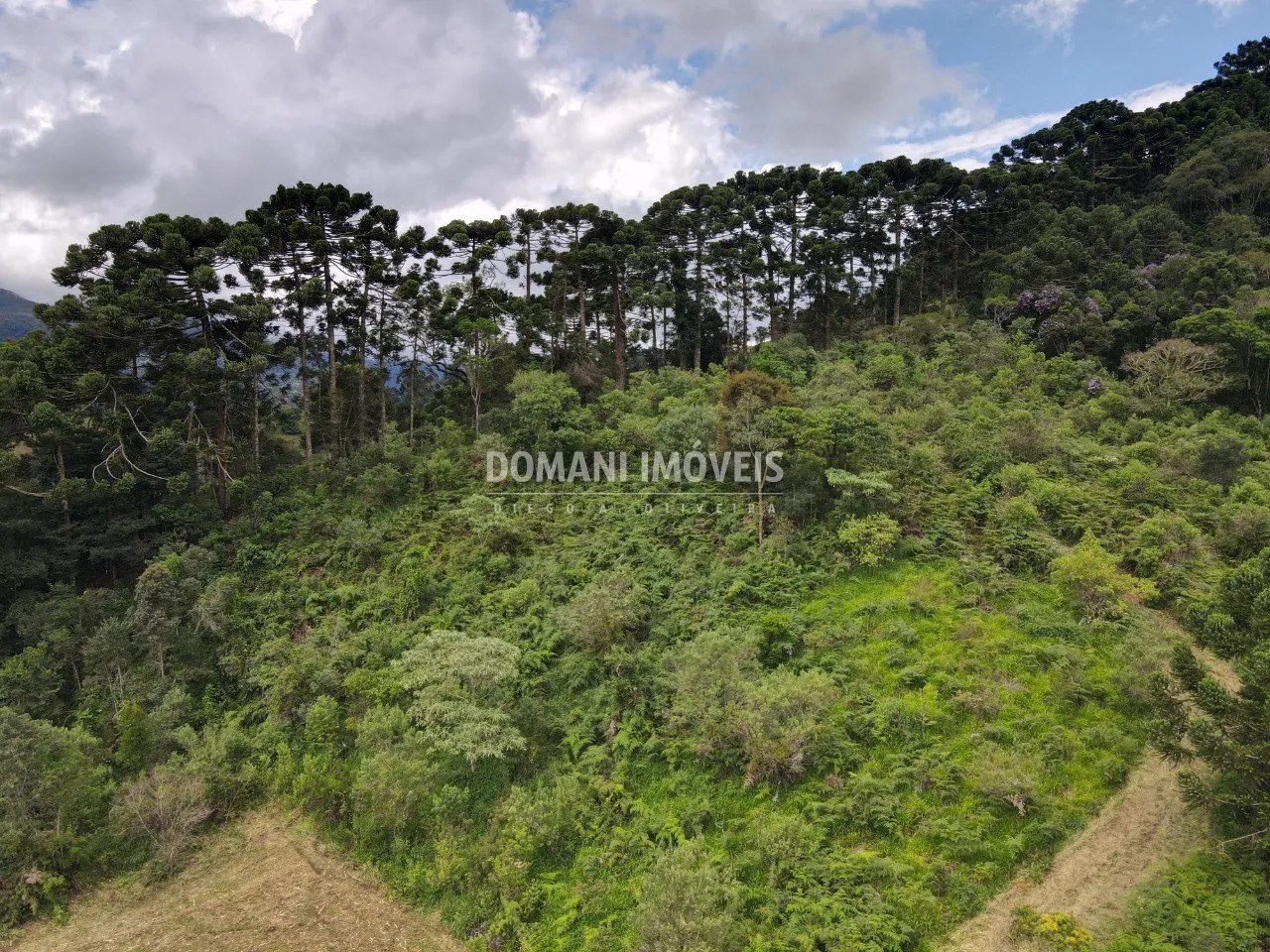 Terreno à venda de 2 ha em Sapucaí-Mirim, MG, Brasil