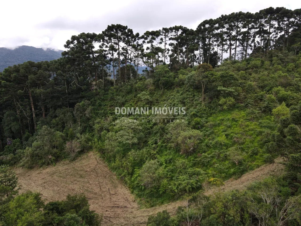 Terreno à venda de 2 ha em Sapucaí-Mirim, MG, Brasil
