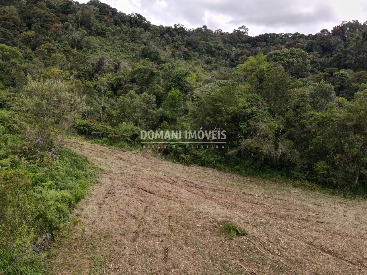 Terreno à venda de 2 ha em Sapucaí-Mirim, MG, Brasil