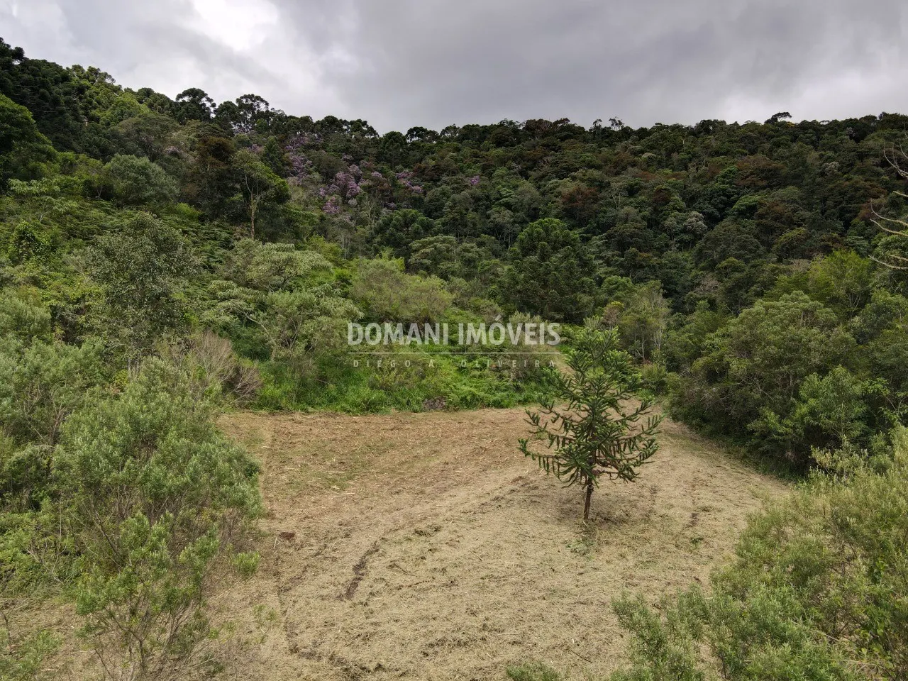 Terreno à venda de 2 ha em Sapucaí-Mirim, MG, Brasil