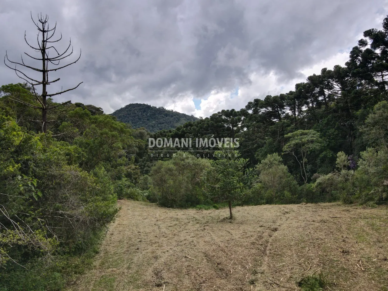 Terreno à venda de 2 ha em Sapucaí-Mirim, MG, Brasil