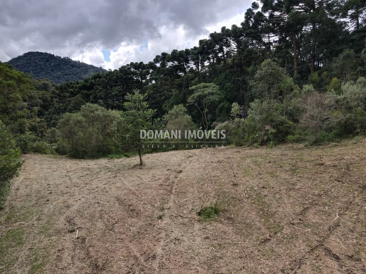 Terreno à venda de 2 ha em Sapucaí-Mirim, MG, Brasil