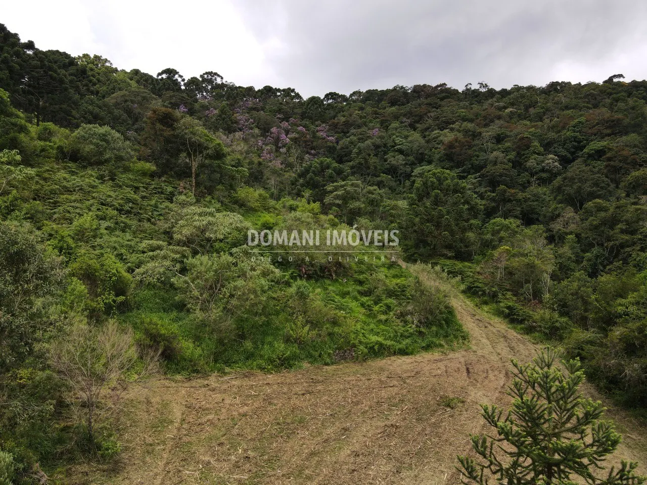 Terreno à venda de 2 ha em Sapucaí-Mirim, MG, Brasil