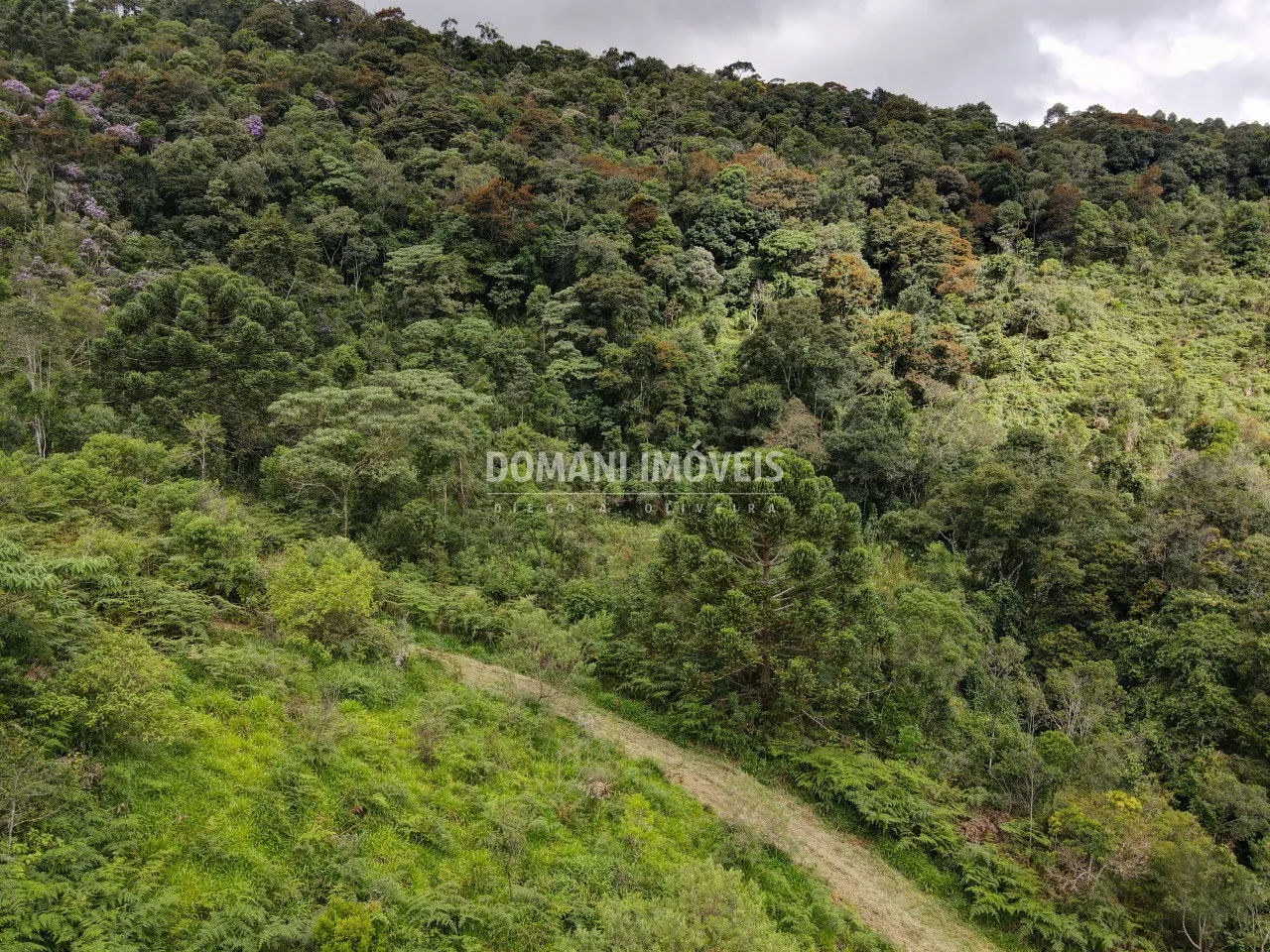 Terreno à venda de 2 ha em Sapucaí-Mirim, MG, Brasil