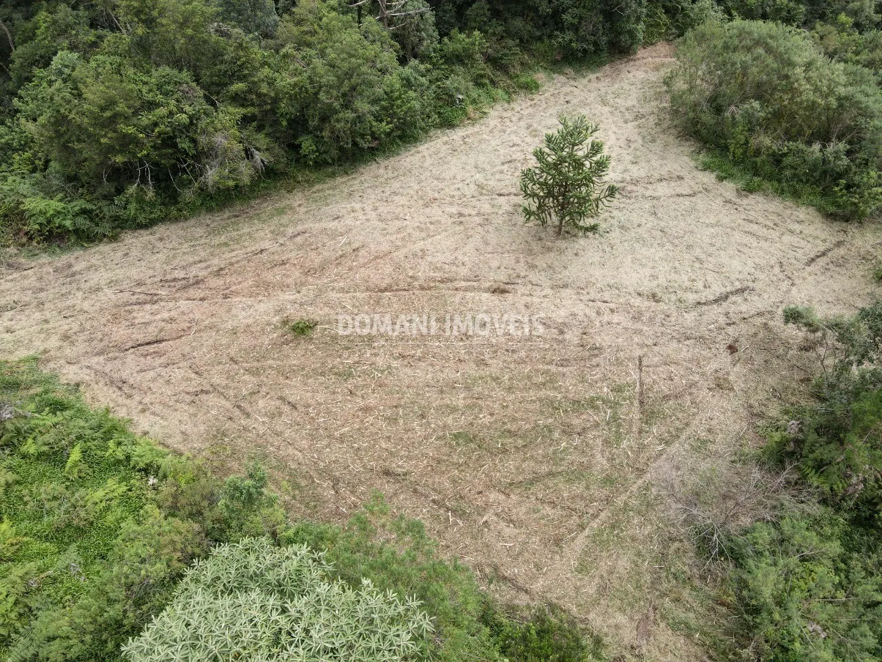 Terreno à venda de 2 ha em Sapucaí-Mirim, MG, Brasil