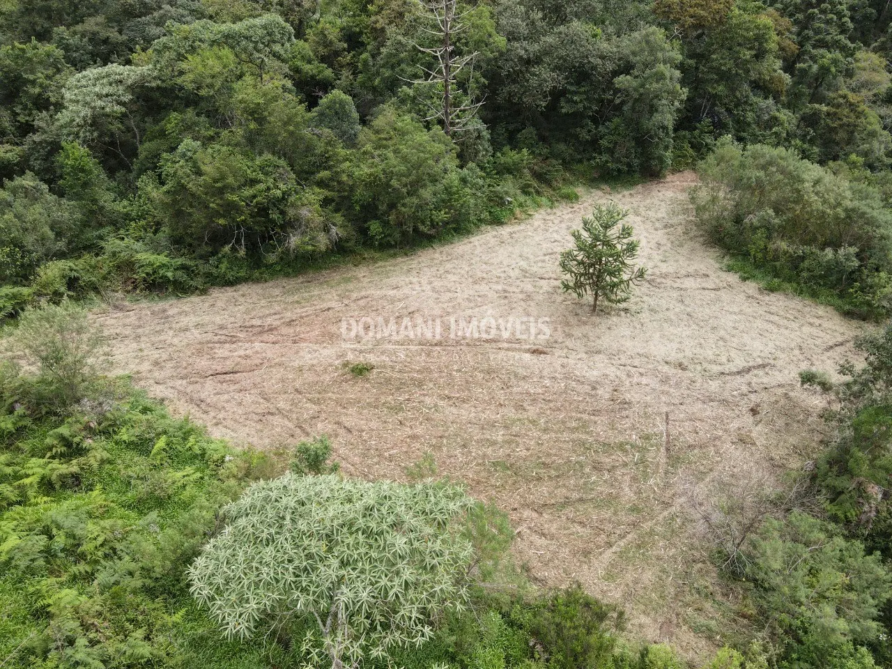 Terreno à venda de 2 ha em Sapucaí-Mirim, MG, Brasil