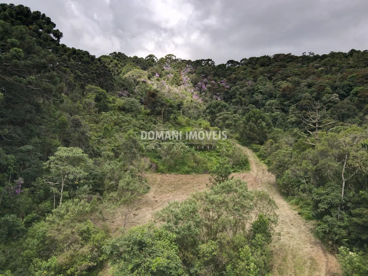 Terreno à venda de 2 ha em Sapucaí-Mirim, MG, Brasil
