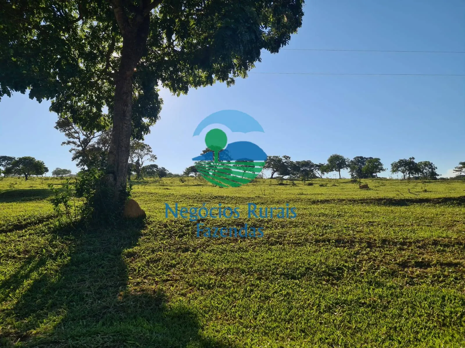 Fazenda à venda e para Arrendar de 532 ha em Pires do Rio, GO, Brasil