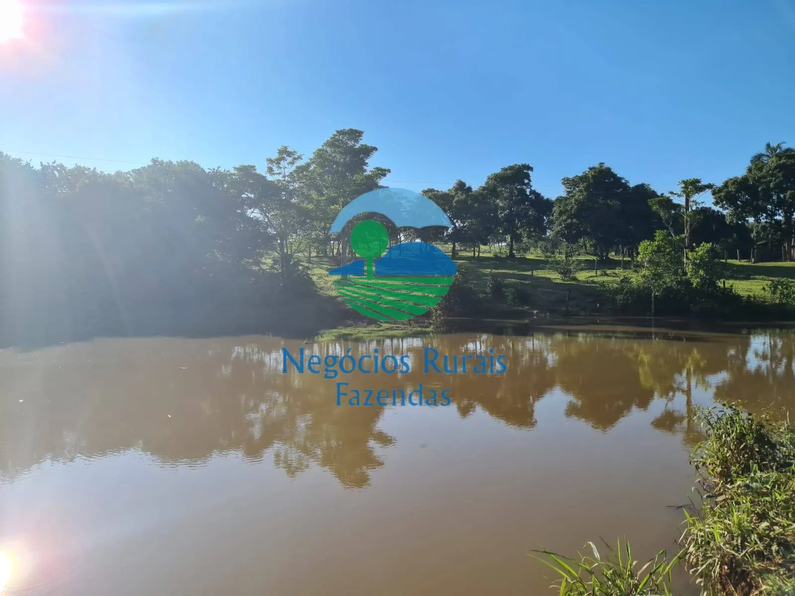 Fazenda à venda e para Arrendar de 532 ha em Pires do Rio, GO, Brasil