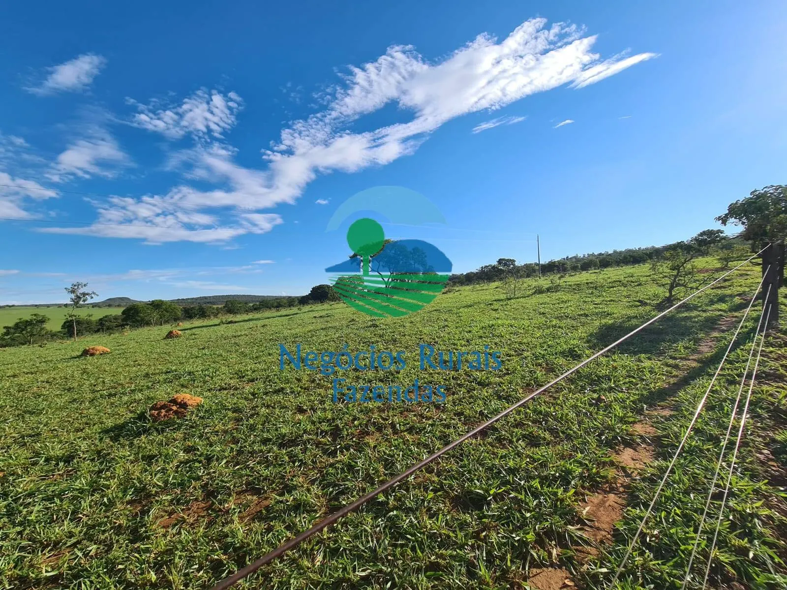 Fazenda à venda e para Arrendar de 532 ha em Pires do Rio, GO, Brasil