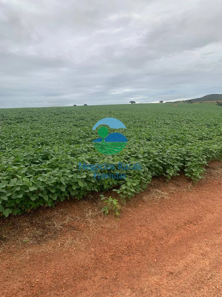 Fazenda à venda e para Arrendar de 532 ha em Pires do Rio, GO, Brasil