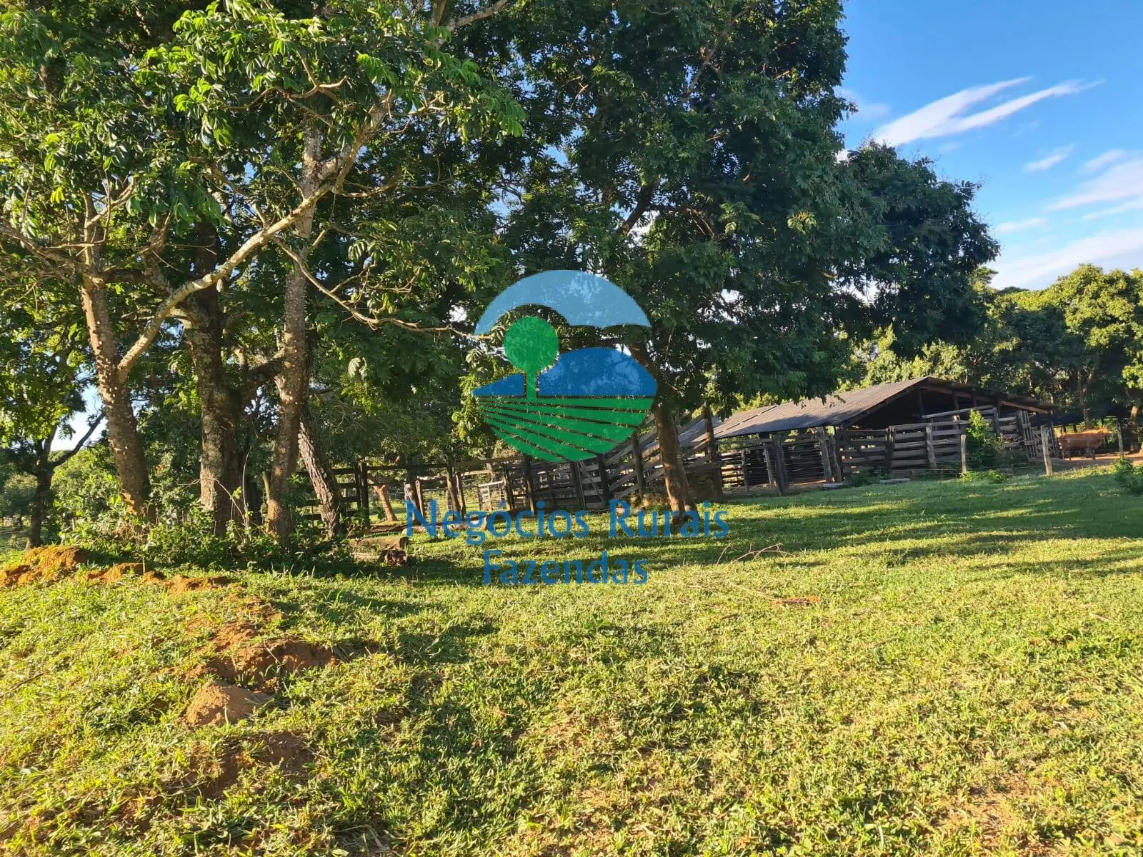 Fazenda à venda e para Arrendar de 532 ha em Pires do Rio, GO, Brasil