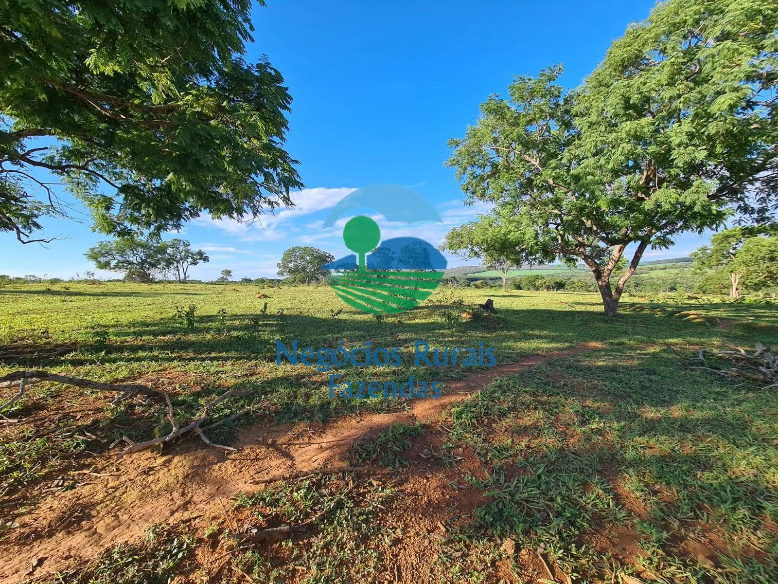 Fazenda à venda e para Arrendar de 532 ha em Pires do Rio, GO, Brasil