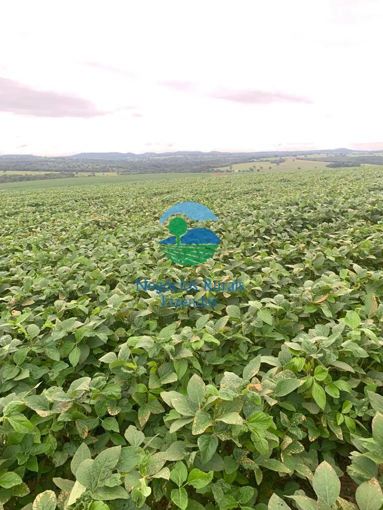 Fazenda à venda e para Arrendar de 532 ha em Pires do Rio, GO, Brasil