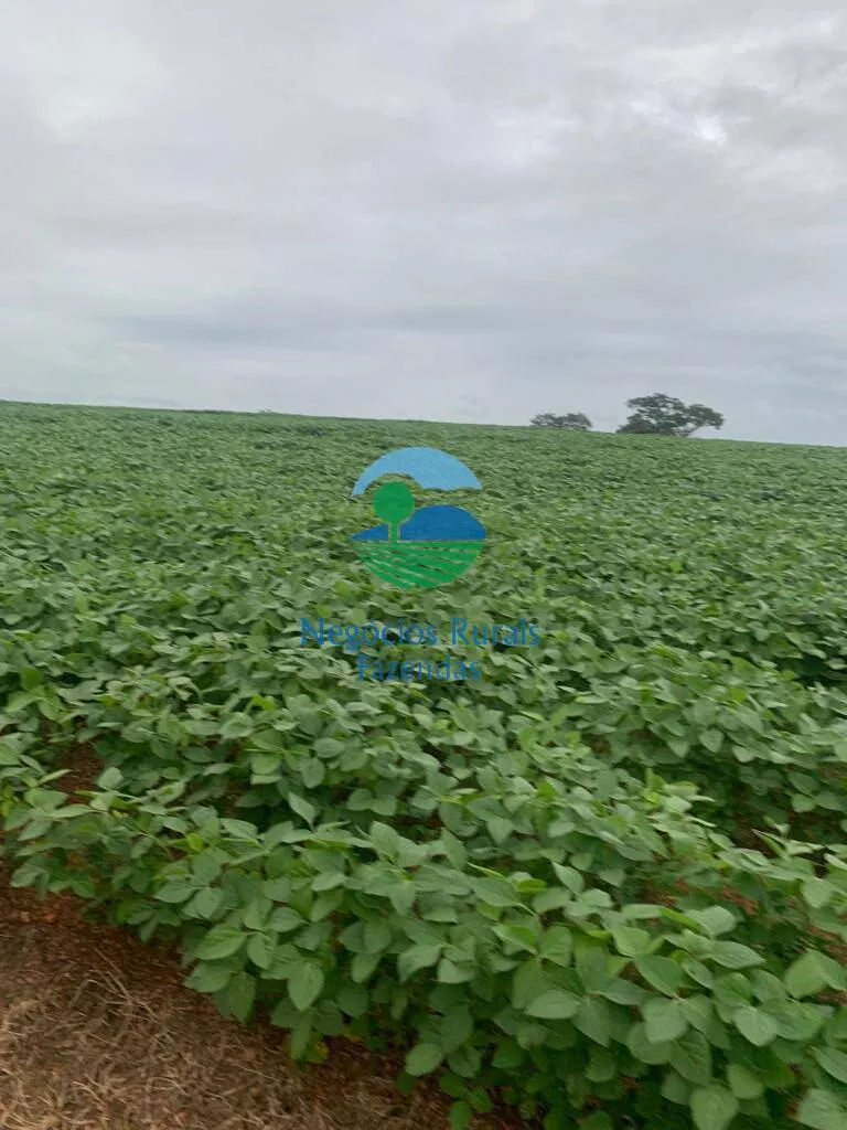 Fazenda à venda e para Arrendar de 532 ha em Pires do Rio, GO, Brasil