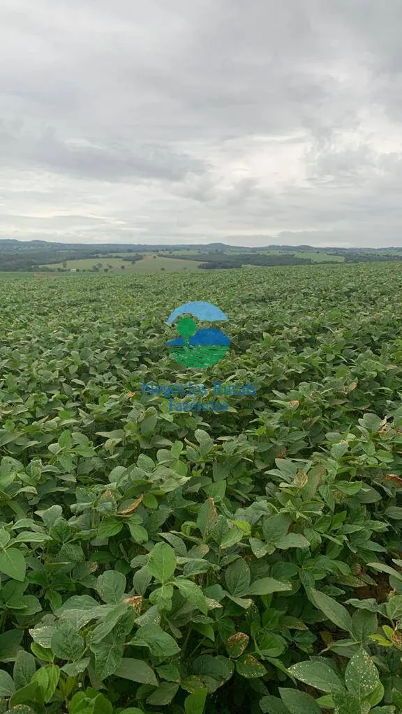 Fazenda à venda e para Arrendar de 532 ha em Pires do Rio, GO, Brasil
