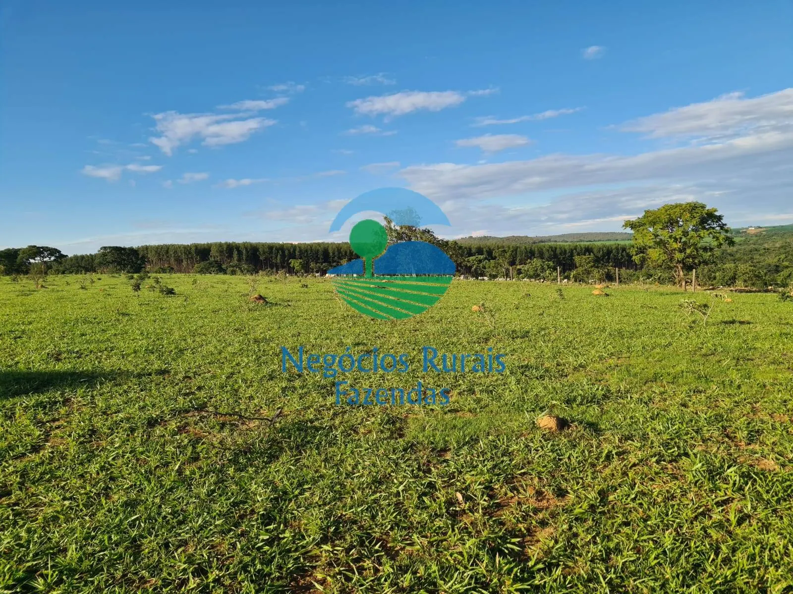 Fazenda à venda e para Arrendar de 532 ha em Pires do Rio, GO, Brasil
