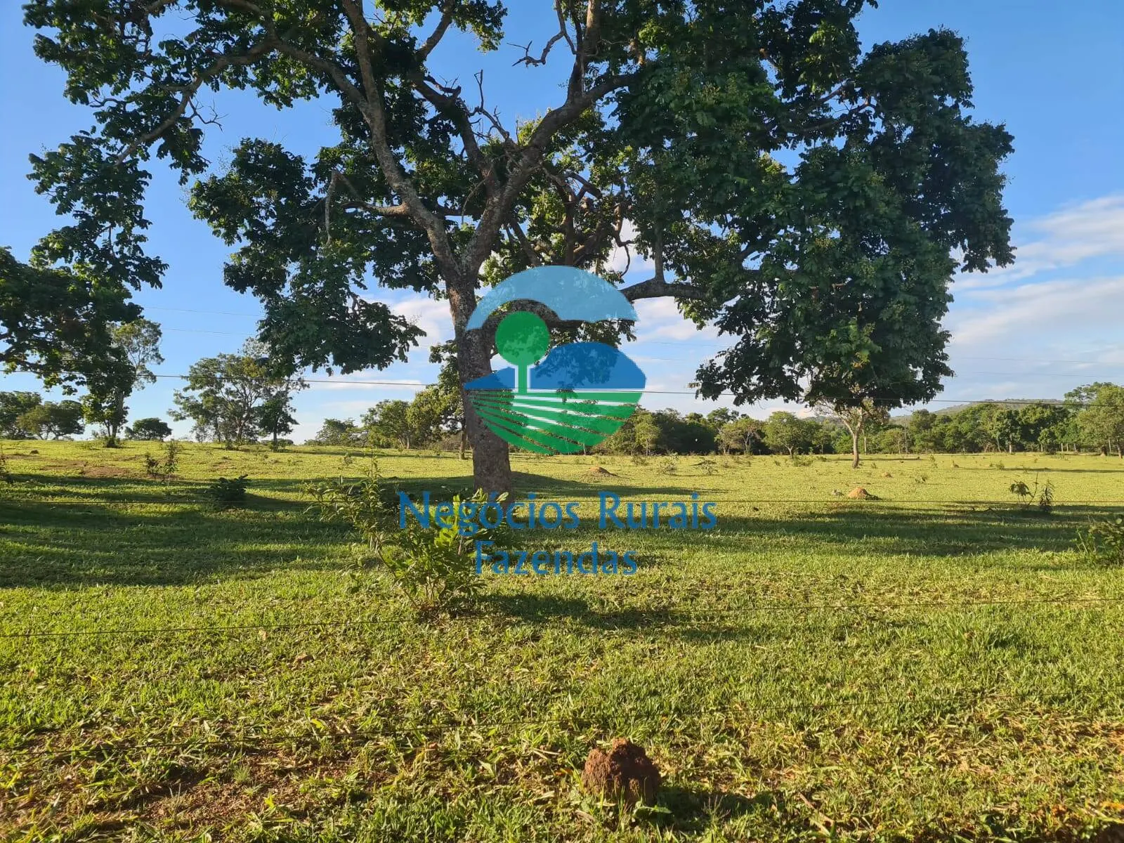 Fazenda à venda e para Arrendar de 532 ha em Pires do Rio, GO, Brasil