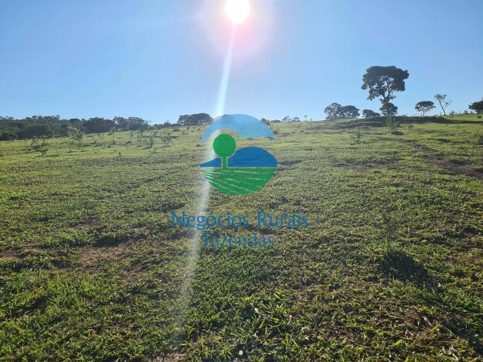 Fazenda à venda e para Arrendar de 532 ha em Pires do Rio, GO, Brasil