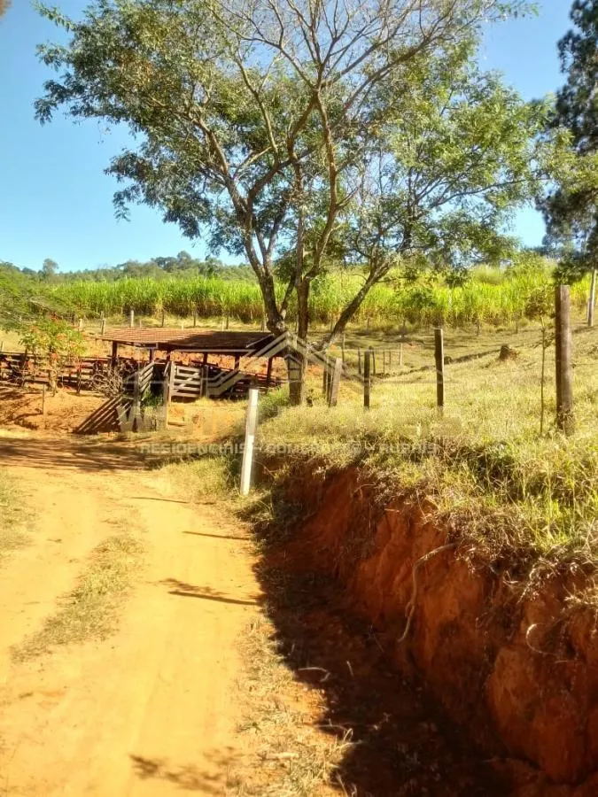 Sítio à venda de 25 ha em Tuiuti, SP, Brasil
