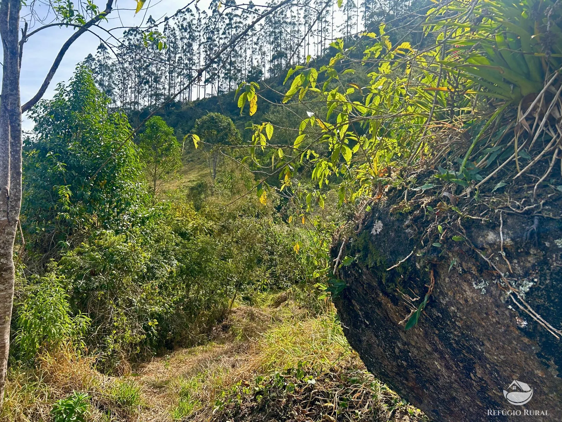 Plot for sale of 10 acres in São José dos Campos, SP, Brazil