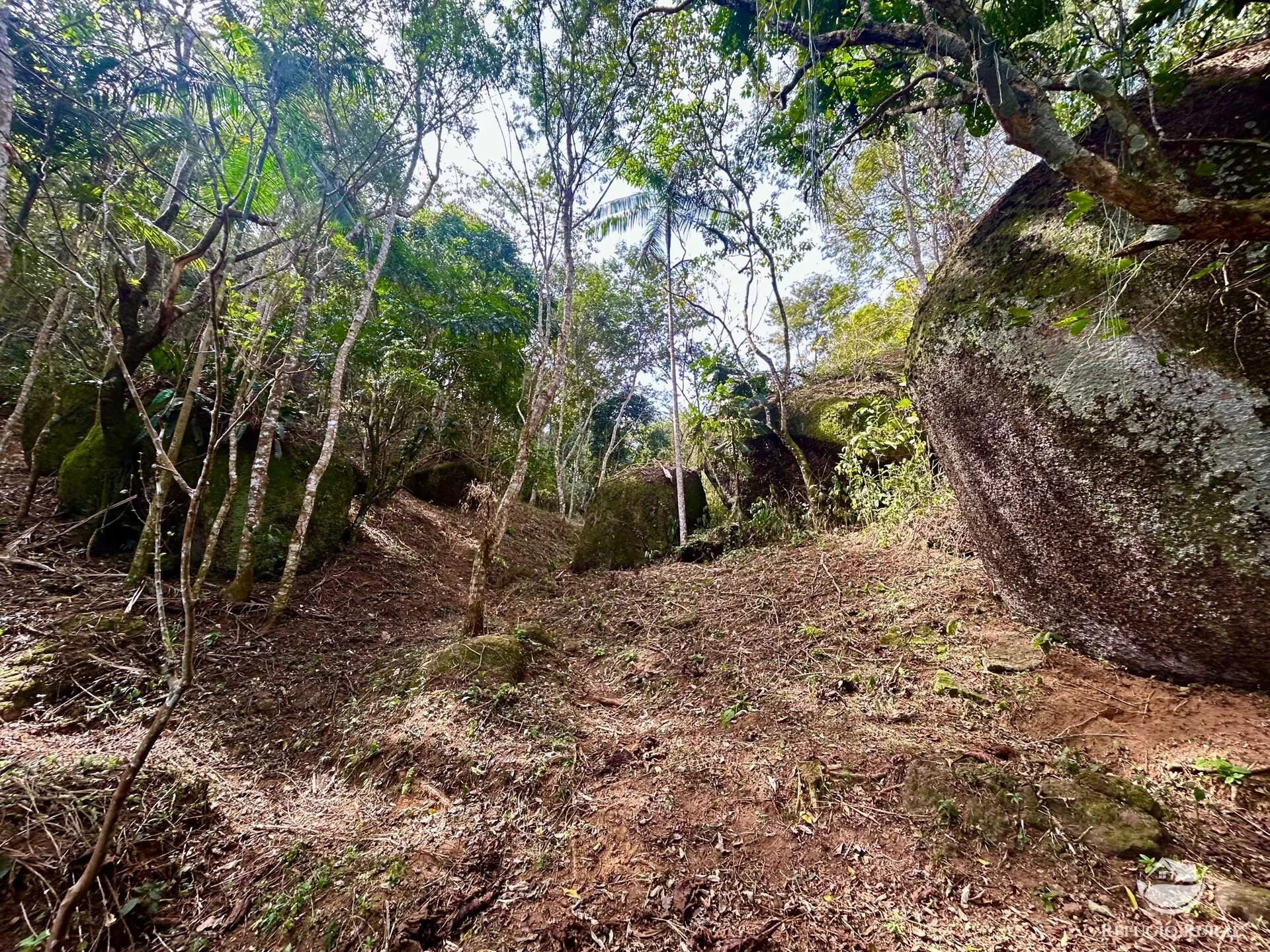 Plot for sale of 10 acres in São José dos Campos, SP, Brazil