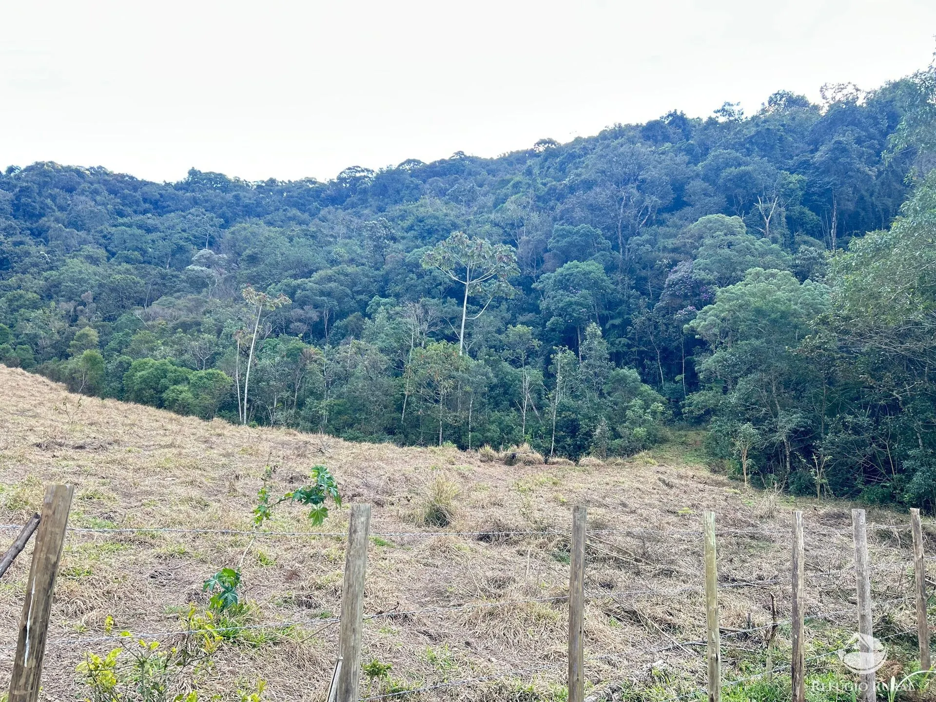 Plot for sale of 17 acres in São José dos Campos, SP, Brazil