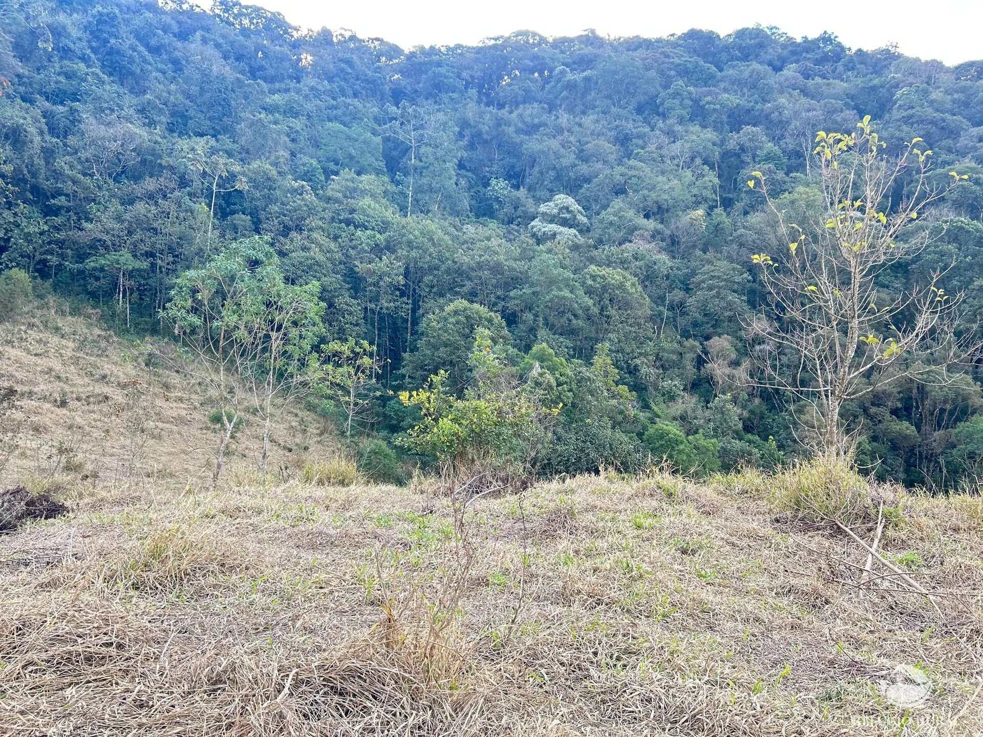 Plot for sale of 17 acres in São José dos Campos, SP, Brazil