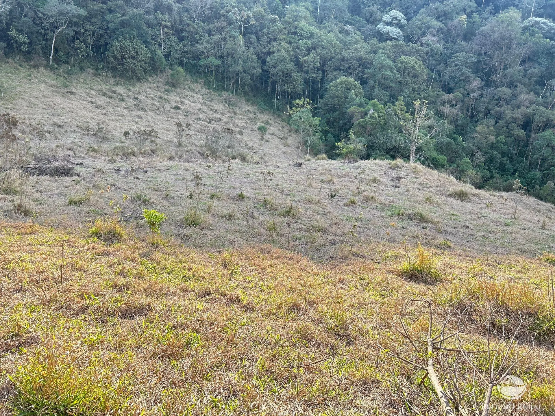 Plot for sale of 17 acres in São José dos Campos, SP, Brazil