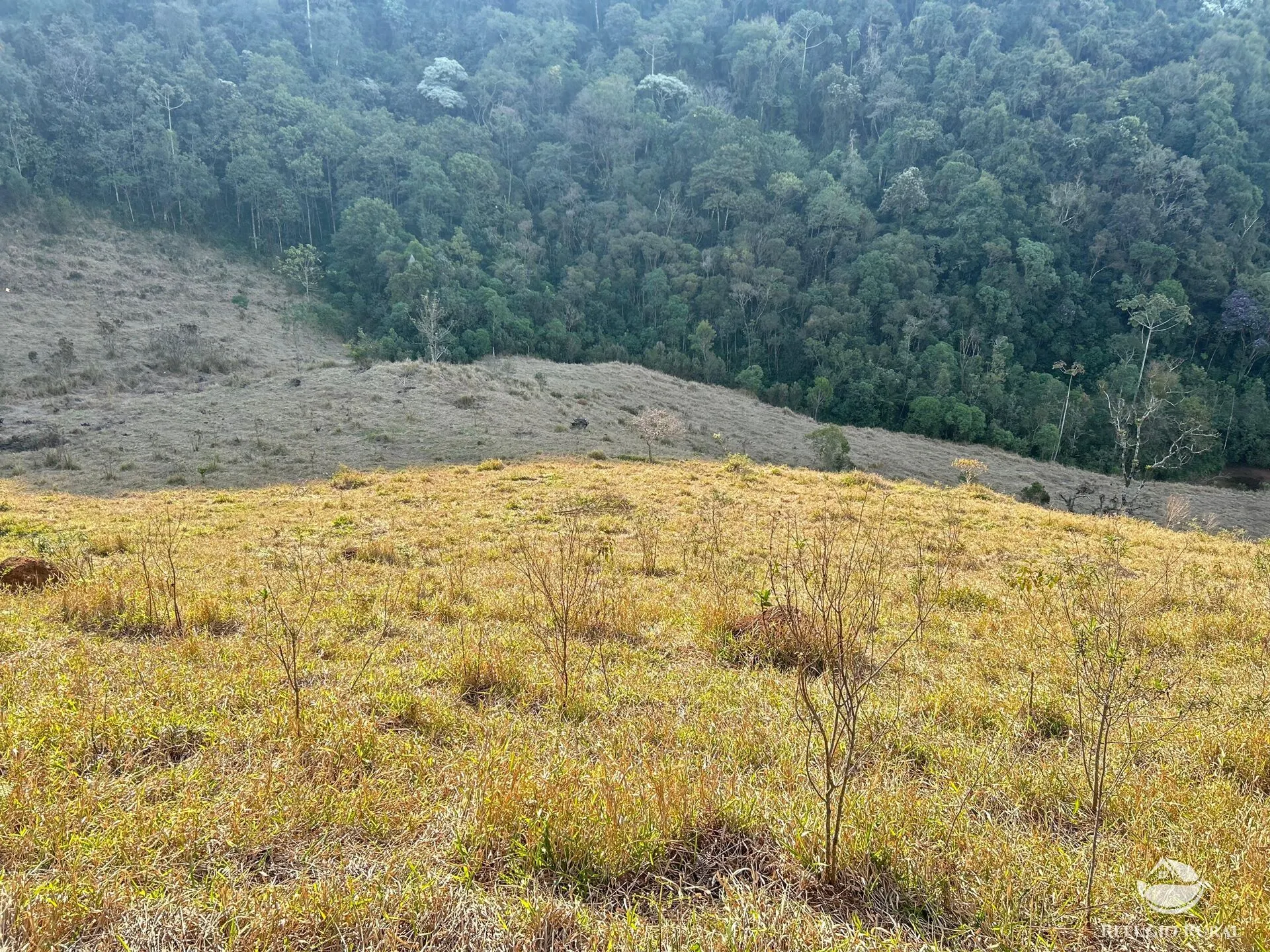 Plot for sale of 17 acres in São José dos Campos, SP, Brazil