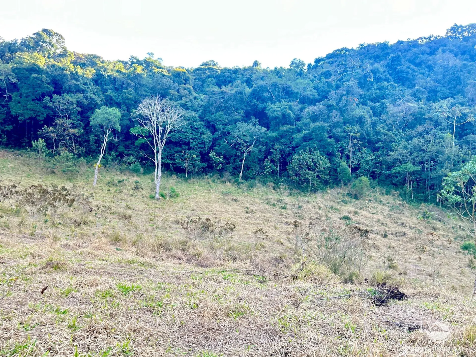 Plot for sale of 17 acres in São José dos Campos, SP, Brazil