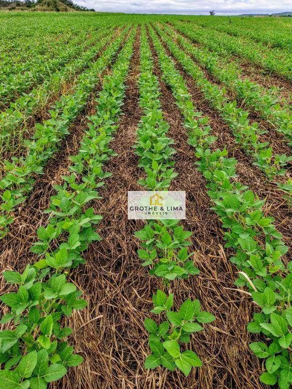 Fazenda à venda de 4.678 ha em Santa Rosa do Tocantins, TO, Brasil