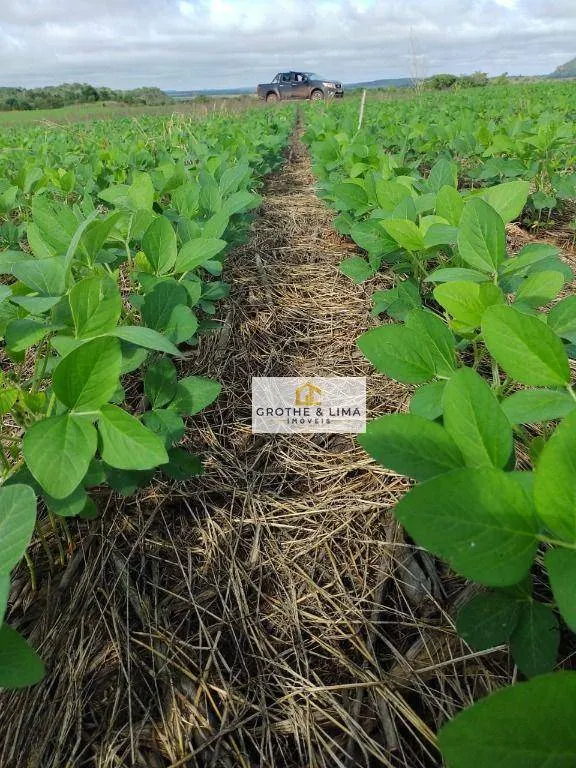 Fazenda à venda de 4.678 ha em Santa Rosa do Tocantins, TO, Brasil