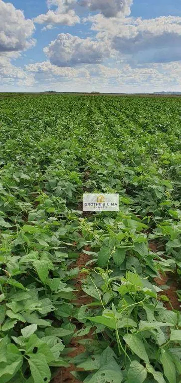 Fazenda à venda de 4.678 ha em Santa Rosa do Tocantins, TO, Brasil
