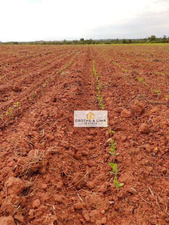 Fazenda à venda de 4.678 ha em Santa Rosa do Tocantins, TO, Brasil