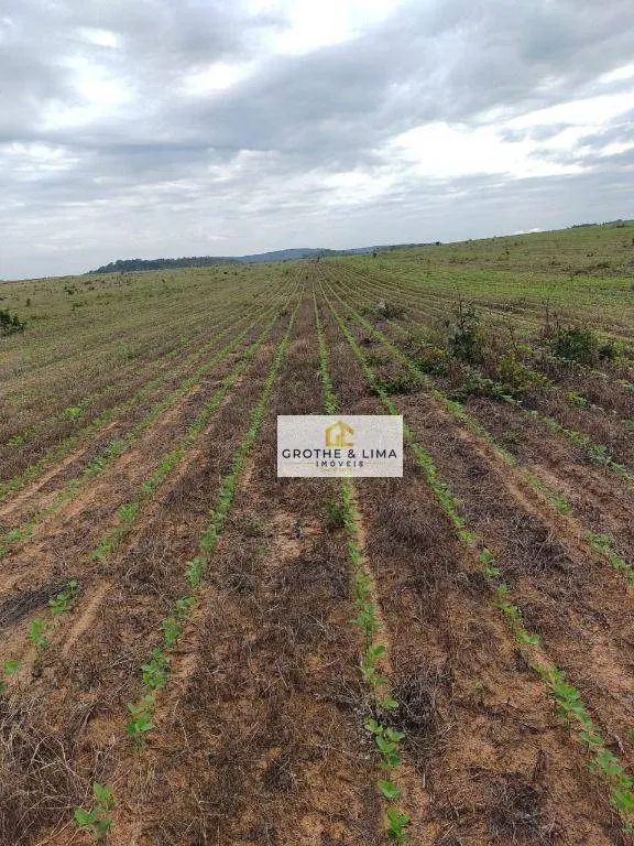Fazenda à venda de 4.678 ha em Santa Rosa do Tocantins, TO, Brasil