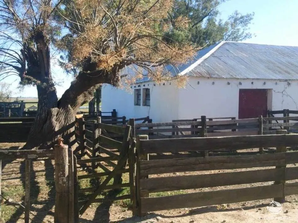 Fazenda à venda de 7.452 ha em Santana do Livramento, RS, Brasil