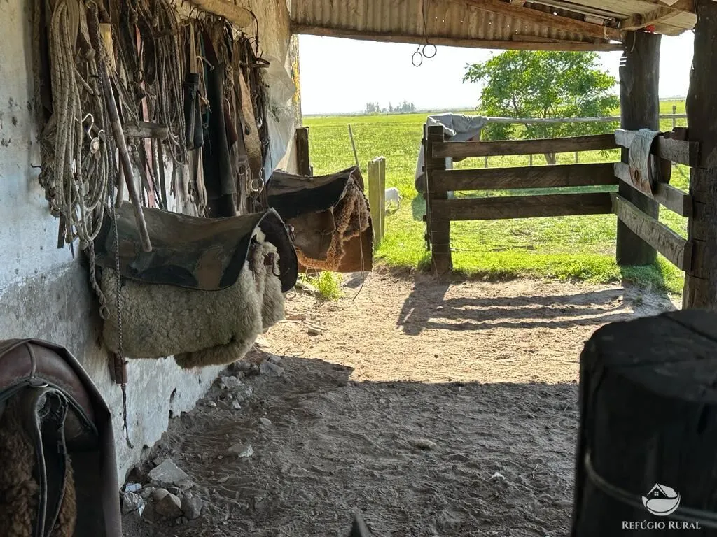 Fazenda à venda de 7.452 ha em Santana do Livramento, RS, Brasil