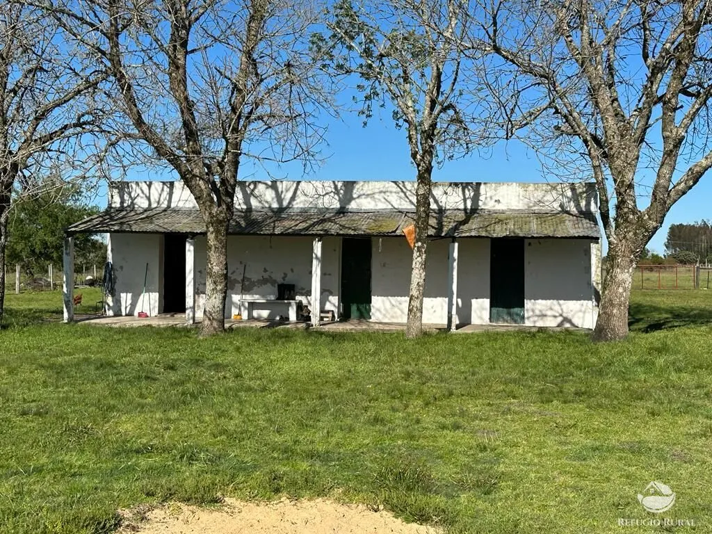 Fazenda à venda de 7.452 ha em Santana do Livramento, RS, Brasil
