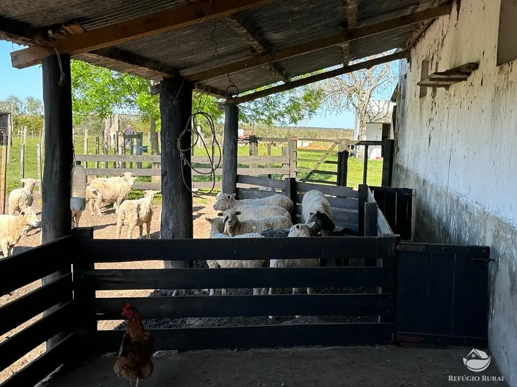 Fazenda à venda de 7.452 ha em Santana do Livramento, RS, Brasil