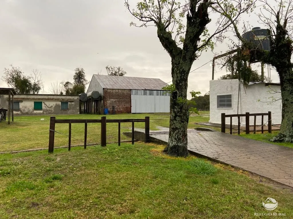 Fazenda à venda de 7.452 ha em Santana do Livramento, RS, Brasil