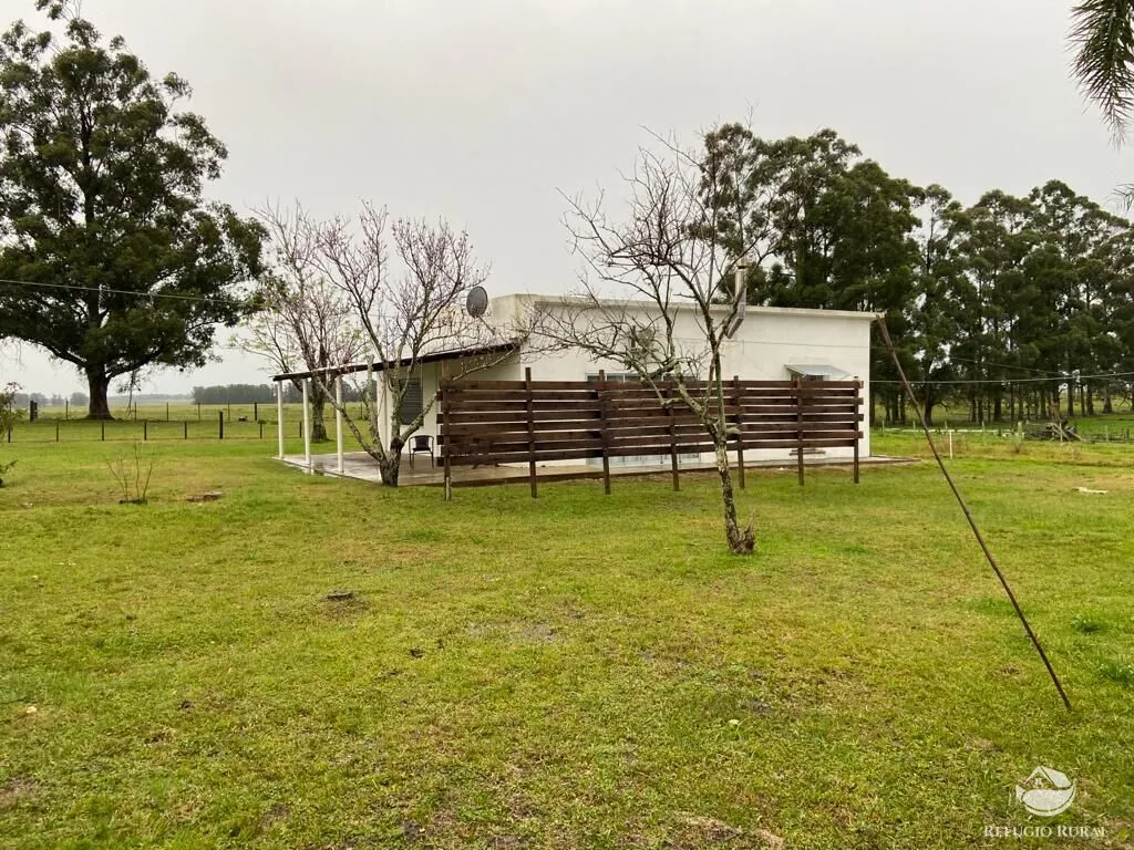 Fazenda à venda de 7.452 ha em Santana do Livramento, RS, Brasil