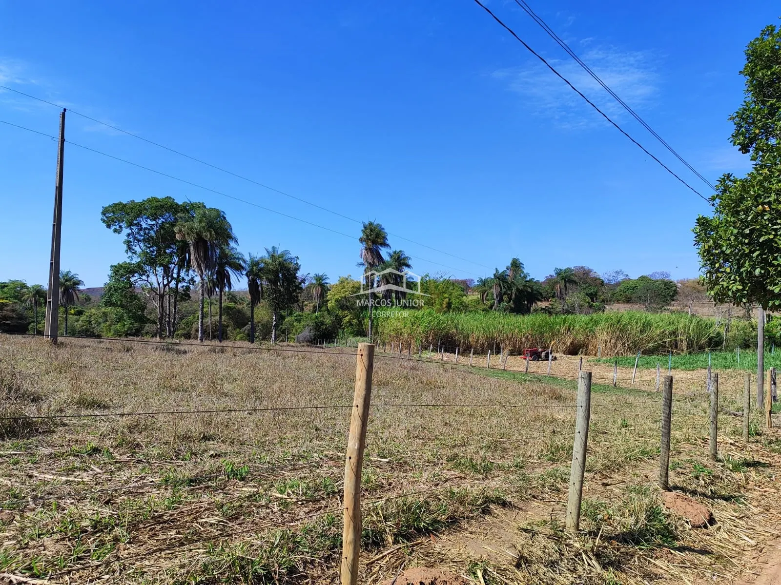 Sítio à venda de 50 ha em Montes Claros, MG, Brasil