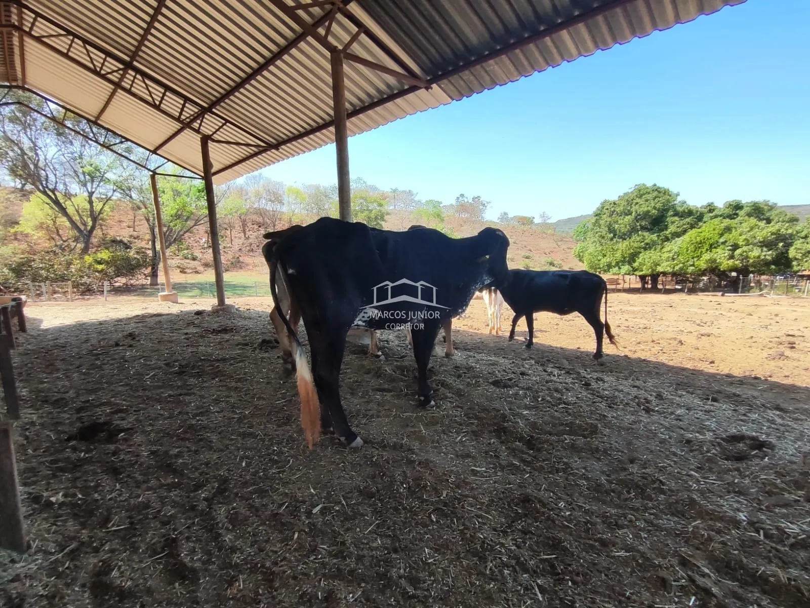 Sítio à venda de 50 ha em Montes Claros, MG, Brasil