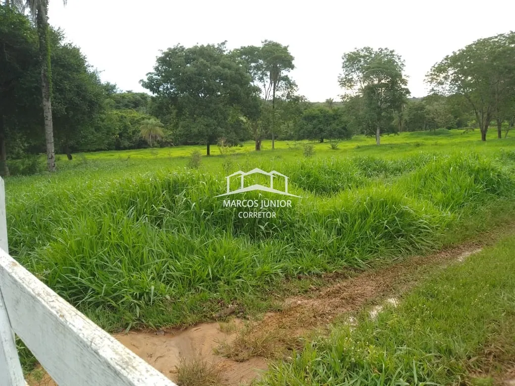 Sítio à venda de 50 ha em Montes Claros, MG, Brasil